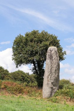 Kergornec 'li Menhir - Saint-Gilles-Pligeaux köyü yakınlarındaki megalitik anıt, Cotes-d' Armor, Brittany, Fransa
