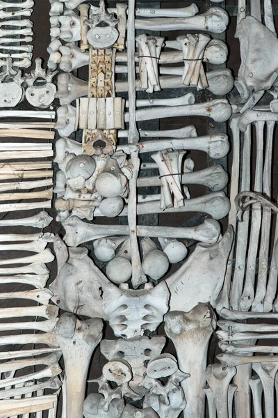 Detail Decoration Composed Human Bones Ossuary Sedlec Kutna Hora Czech — Stock Photo, Image