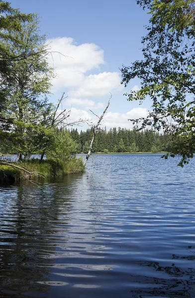 Kladska peats — Stockfoto