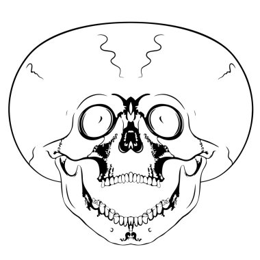 Kafatası çığlık