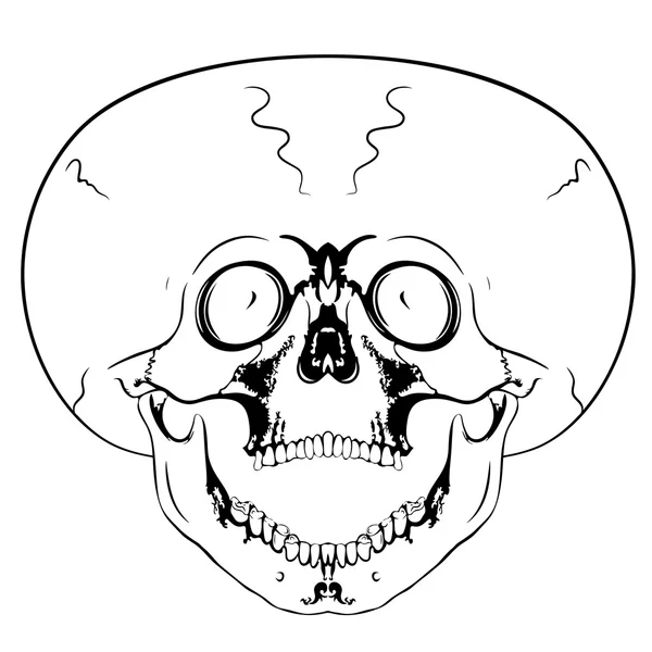 Calavera gritando — Archivo Imágenes Vectoriales