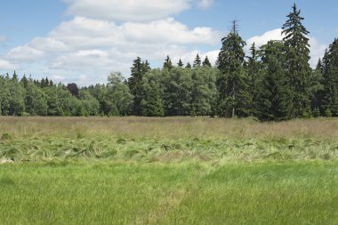 pełną Kladska