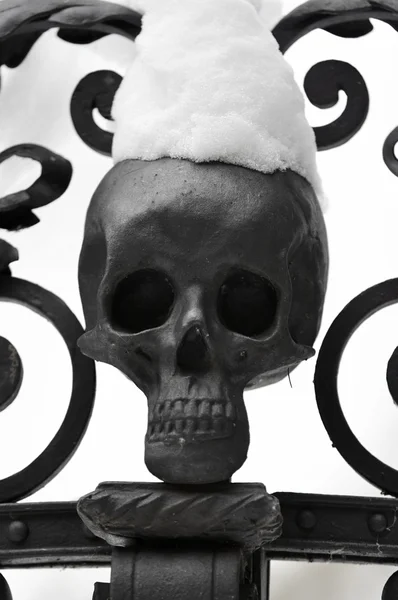 雪に覆われた頭蓋骨 — ストック写真