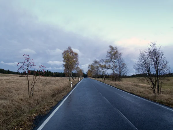 道路上で — ストック写真