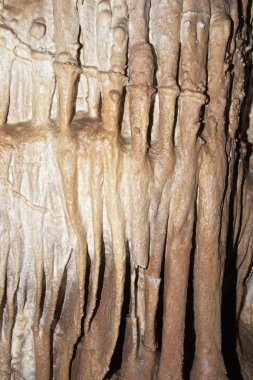 Javoricko stalactite caves clipart