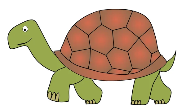 Tortue — Image vectorielle