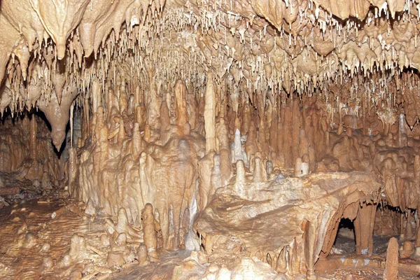 Javoricko stalactite caves — Stock Photo, Image