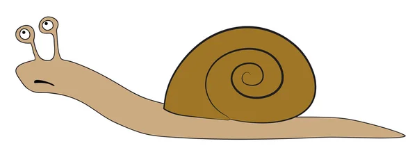 Caracol — Fotografia de Stock