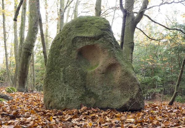 Crâne de pierre de Menhir — Photo