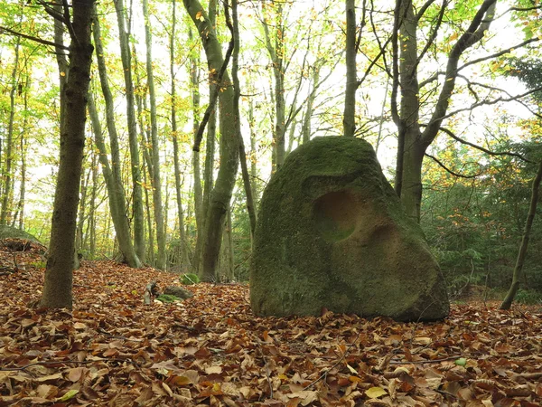 Menhir 石头骨 — 图库照片