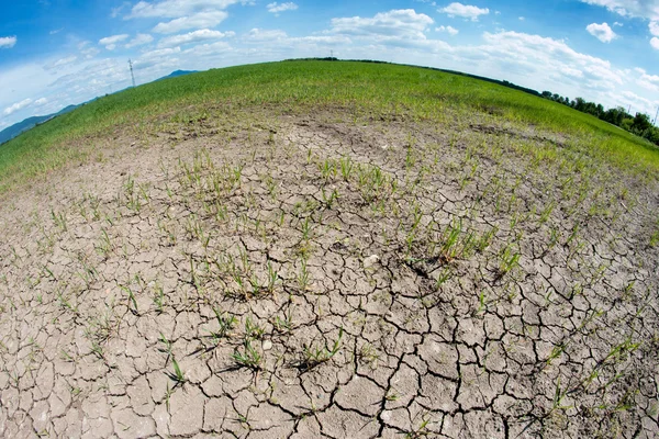 Gedroogde grond — Stockfoto