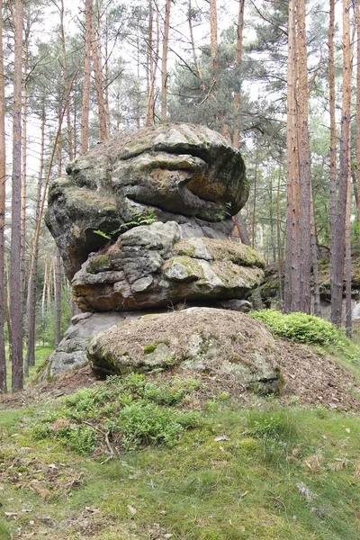 フォレスト内の岩の形成 — ストック写真