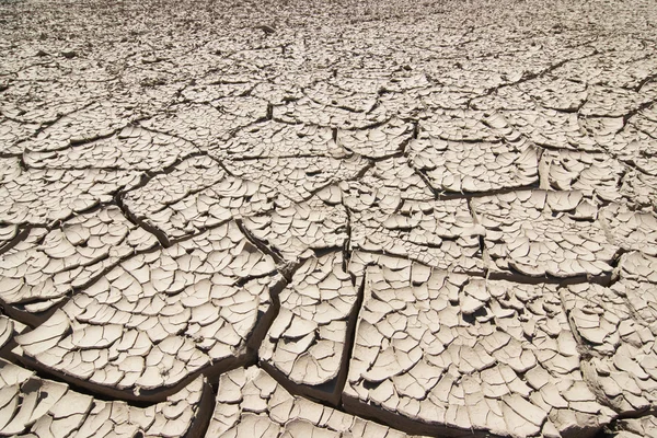 Terreno seco —  Fotos de Stock