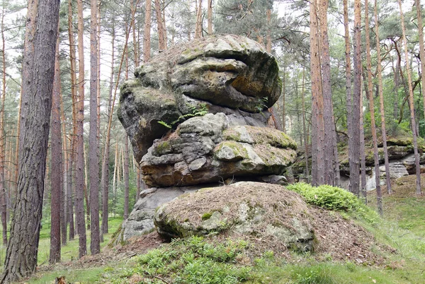 Formación de rocas en el bosque — Foto de Stock