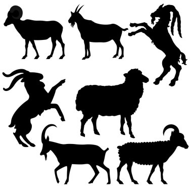 Burç - keçi yıl vektör