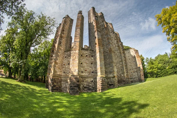 Gotische Kathedrale der Gottesmutter — Stockfoto