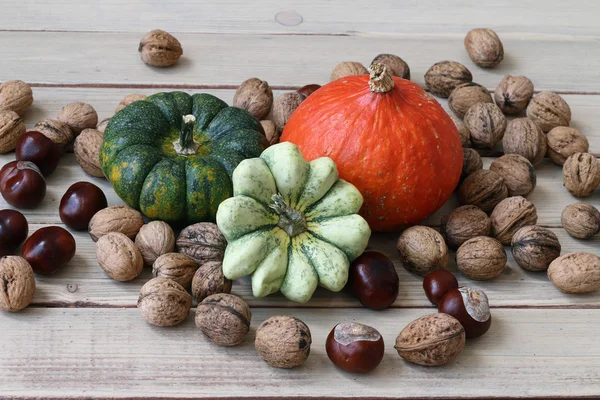 Bodegón con productos de otoño - calabazas, calabazas, nueces, castañas — Foto de Stock