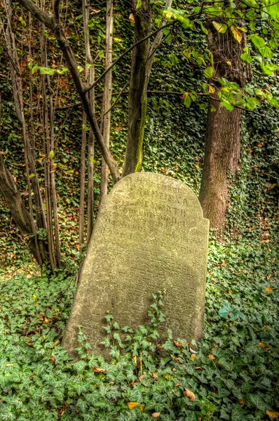 Old Jewish Cemetery — Stock Photo, Image