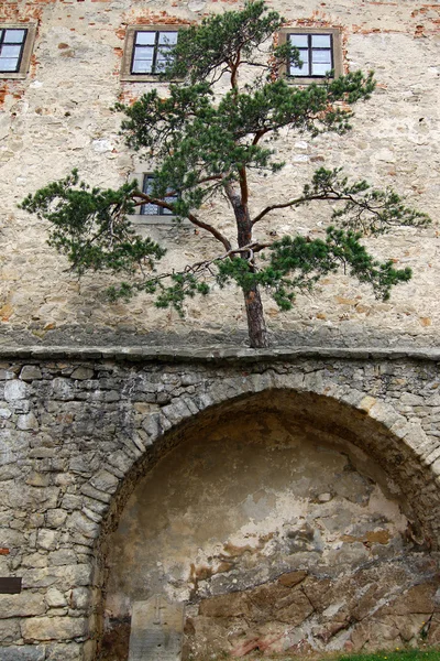 Château gothique célèbre Buchlov — Photo