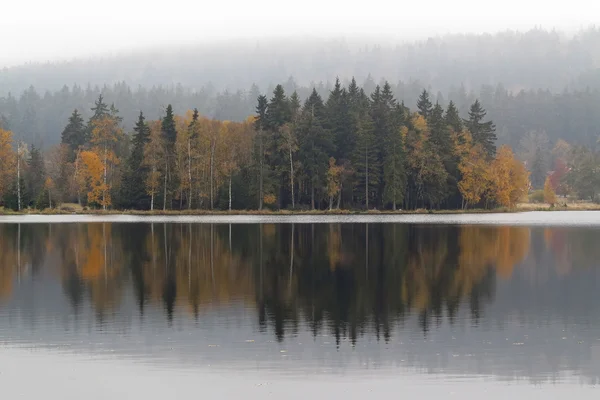 Arbres d'automne au bord du lac — Photo