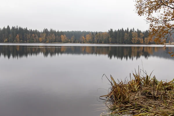 Sjön och hösten skogen — Stockfoto