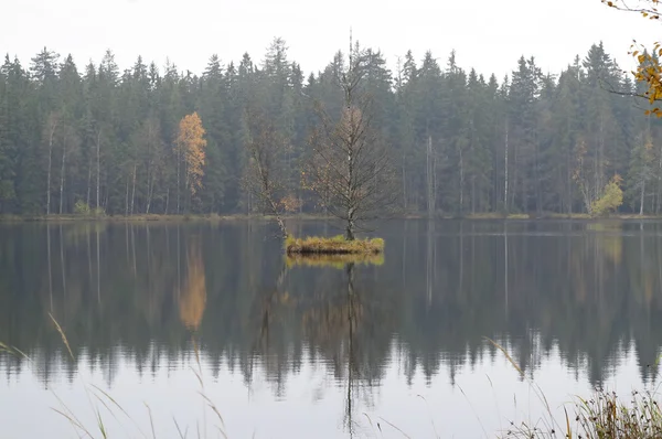 Плаваючий маленький острів на озері — стокове фото