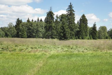 Doğal korumak Kladska peats