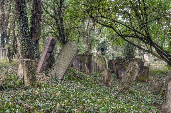 Старое еврейское кладбище — стоковое фото