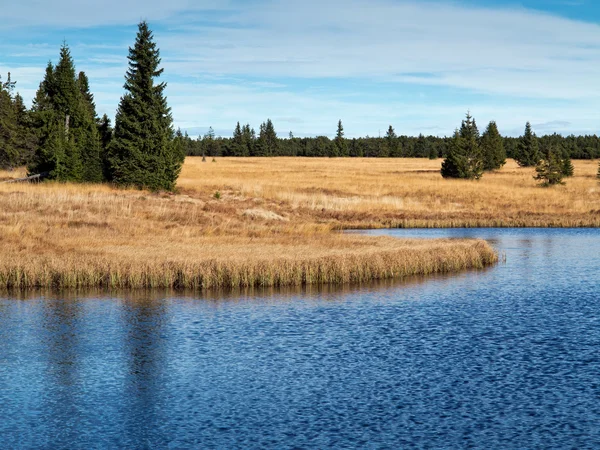 Döda damm i malmbergen, Tjeckien — Stockfoto