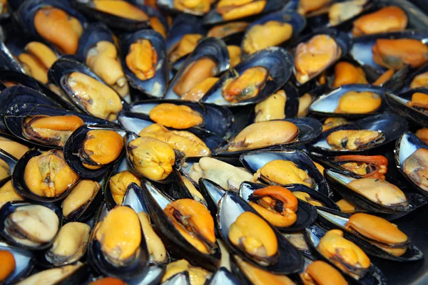 Mussels at the market Royalty Free Stock Images