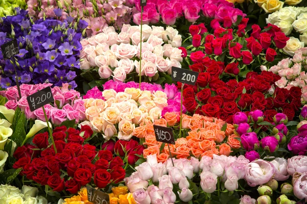 日本の花市場 — ストック写真