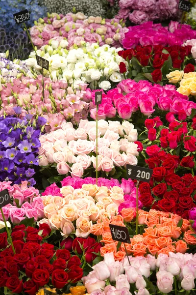 日本花卉市场 — 图库照片
