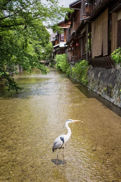 -Gion hagyományos házak — Stock Fotó