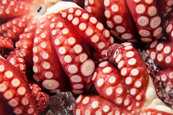 Pulpo sobre hielo en el mercado —  Fotos de Stock