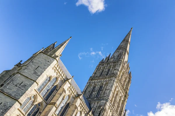 Salisbury Cathedral spiran — Stockfoto