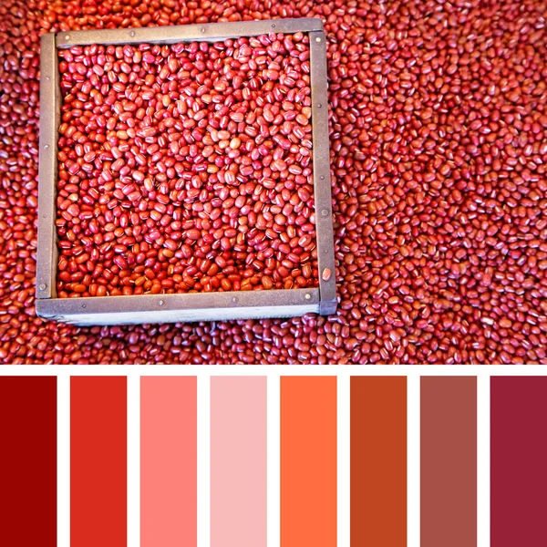 Azuki-Bohnen und Farbpalette — Stockfoto