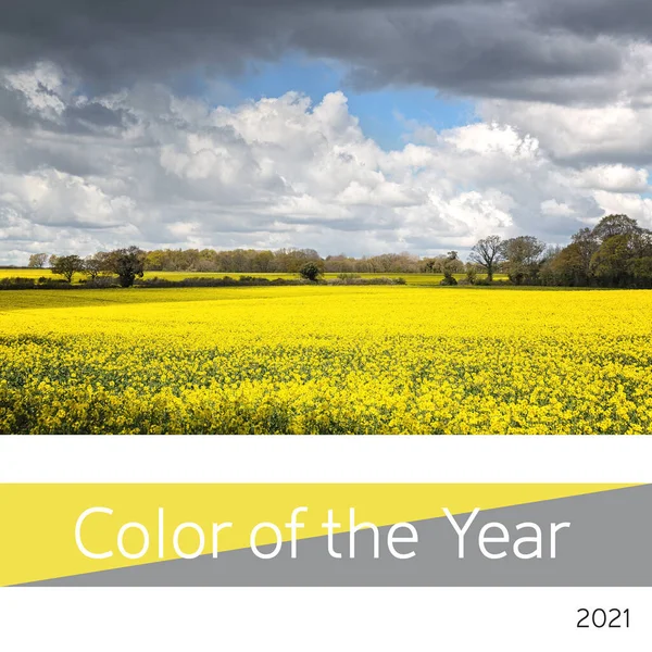 Color Year 2021 Ultimate Gray Illuminating Yellow Represented Field Yellow — Stock Photo, Image