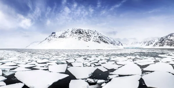 Panorama Över Orörda Bergen Och Flytande Packis Svalbards Fjordar Norsk — Stockfoto