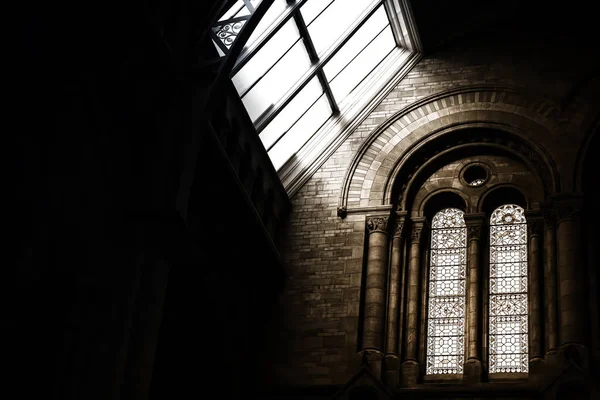 Diciembre 2019 Dentro Sala Principal Del Museo Historia Natural Londres — Foto de Stock