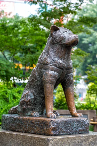 Tokio Japonsko Června 2016 Socha Hachiko Shibuyi Pocta Věrnému Psu — Stock fotografie