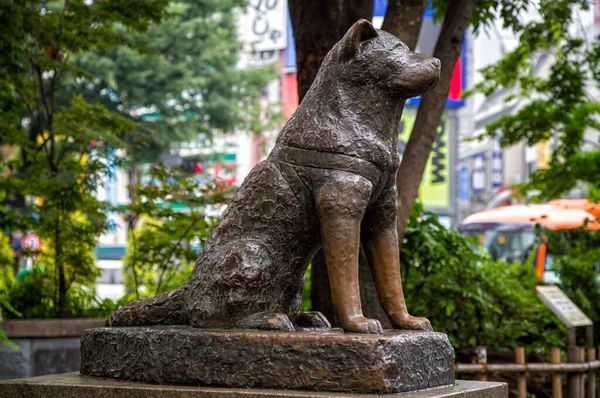 Tokio Japón Junio 2016 Estatua Hachiko Shibuya Homenaje Fiel Perro — Foto de Stock