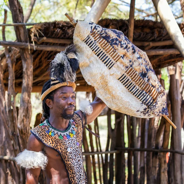 Lesedi Cultural Village Південна Африка Листопада 2106 Демонстрація Зулуського Воїна — стокове фото