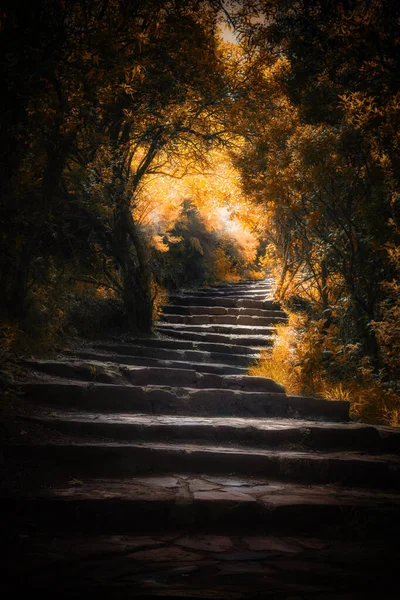 Steintreppen Führen Durch Einen Herbstlichen Wald Warm Getöntes Laub Und — Stockfoto