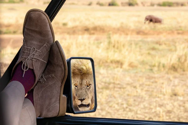 Hombre Relaja Observa Elefante Hierba Larga Masai Mara Kenia Consciente — Foto de Stock