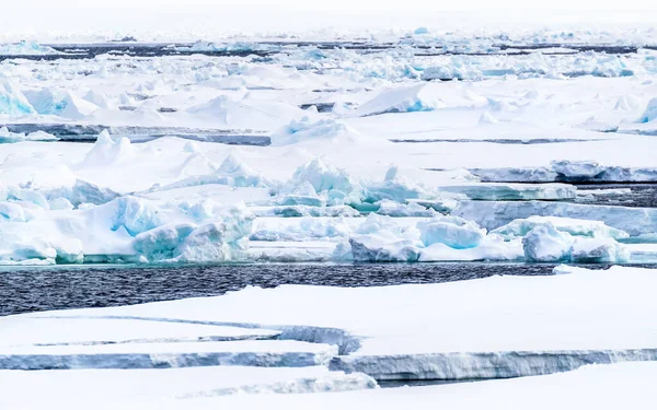 Empaque Hielo Icebergs Témpanos Hielo Del Mar Ártico Norte Svalbard — Foto de Stock