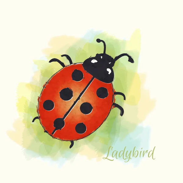 Ladybird watercolour — Stock Vector