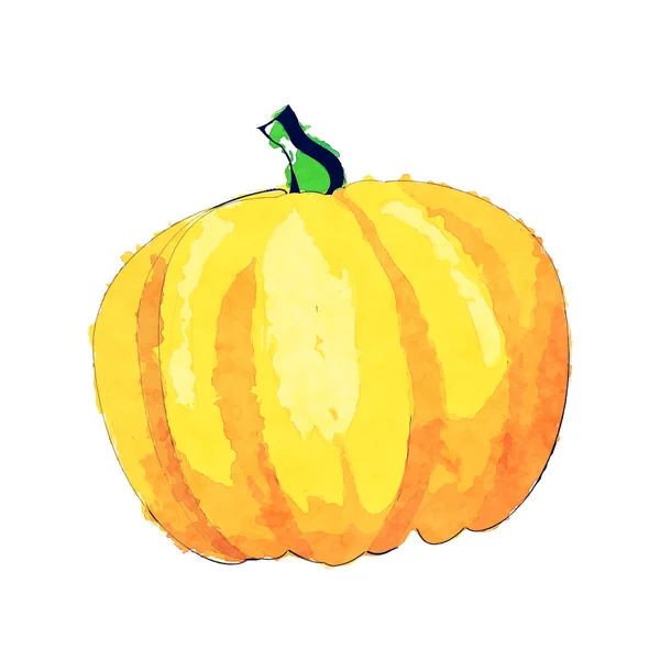 Acuarela de calabaza — Vector de stock