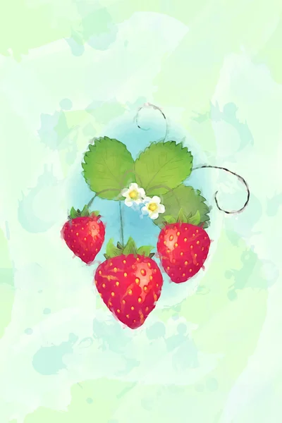 Summer strawberries — Stock Vector