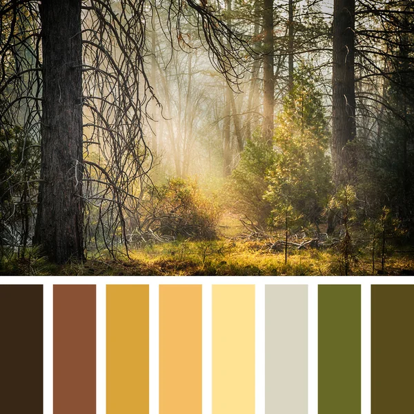 Paleta de Yosemite — Fotografia de Stock