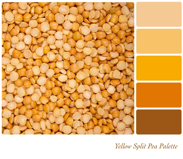 Gele Split Pea palet — Stockfoto